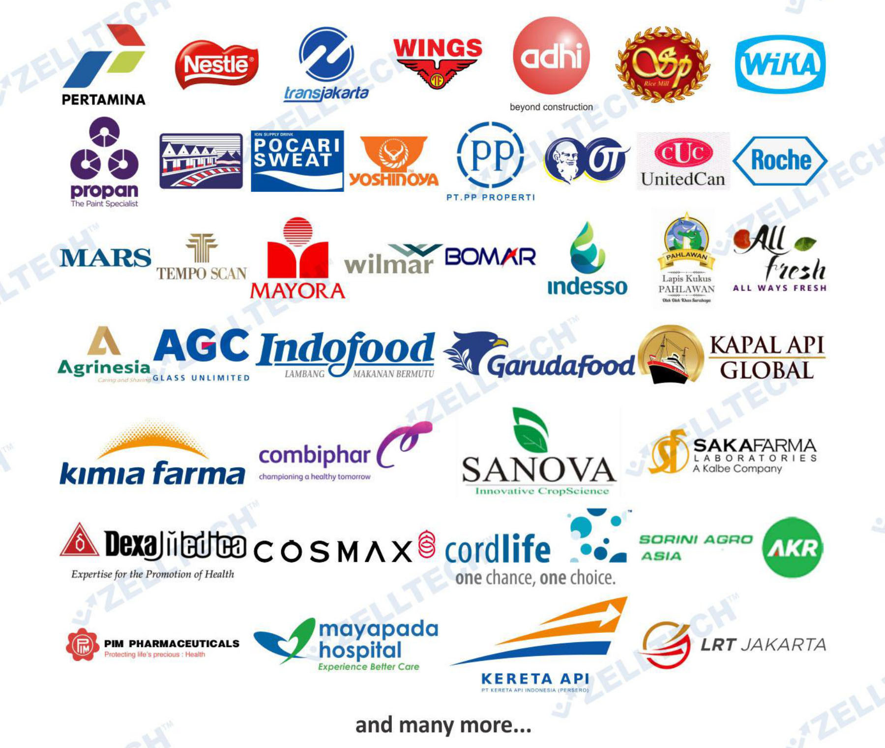 mahmudsays HTML5 Responsive Template